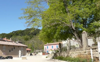 Vidange fosse septique à Lamanon : un entretien clé