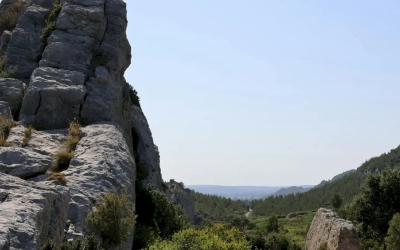Vidange fosse septique à Mouriès : service professionnel